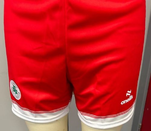 Children's Shorts (Home Kit)